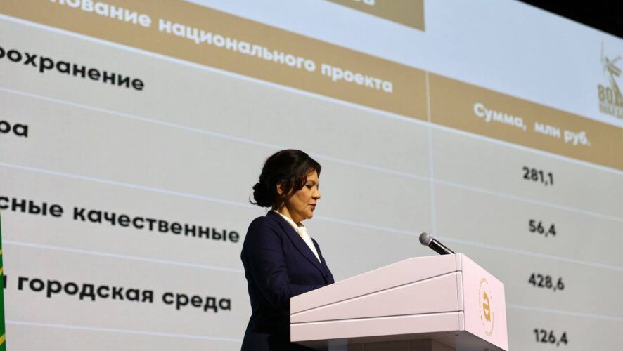 2030 елга кадәр ТРда Әлмәт икътисадый зонасы булдырылачак