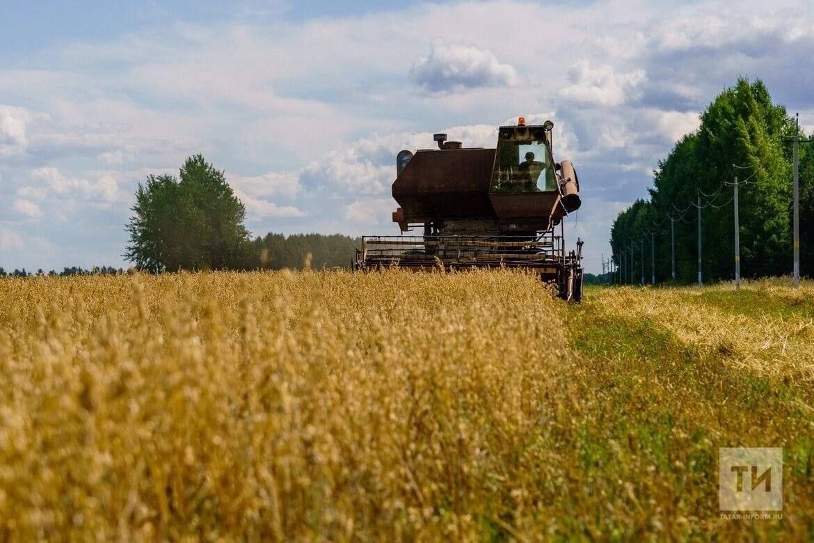 Әлмәт районында урып-җыю кампаниясе алдынгыларын хөрмәтләделәр