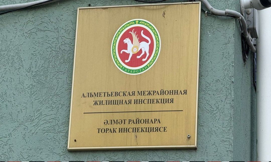 Әлмәтнең 78 күп фатирлы йортының виртуаль паспортлары юк