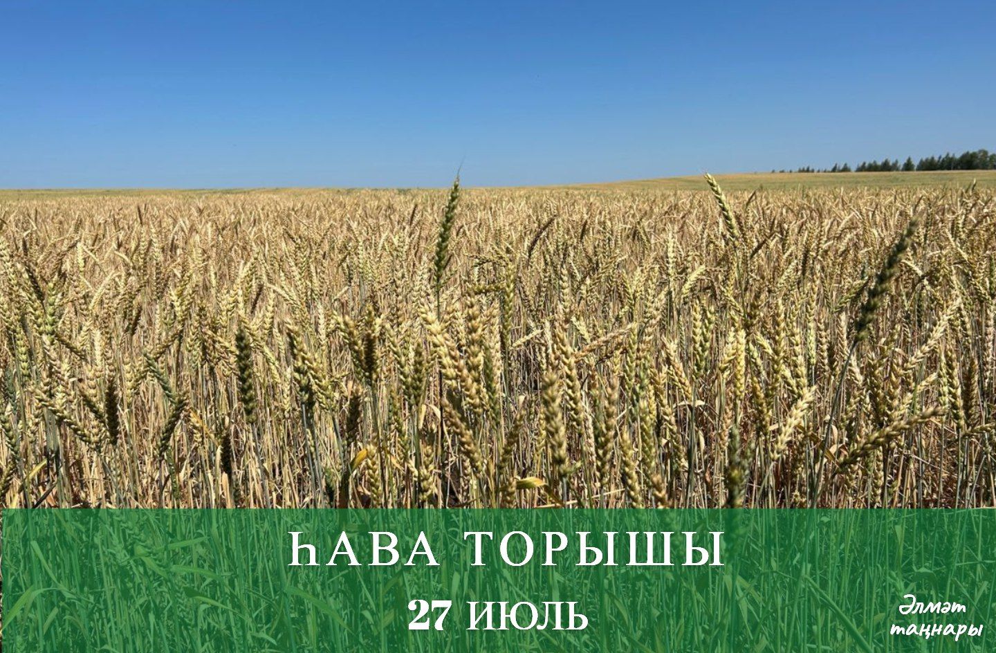 27 июльгә һава торышы