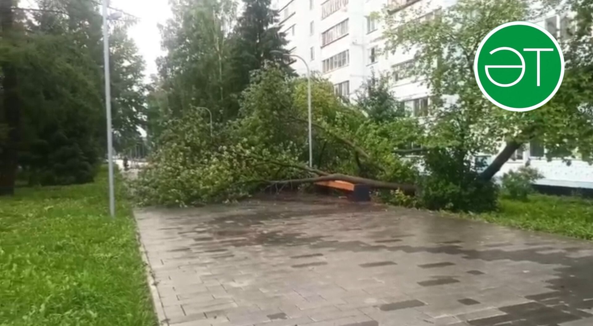 Әлмәттә давылның нәтиҗәләрен бетерәләр