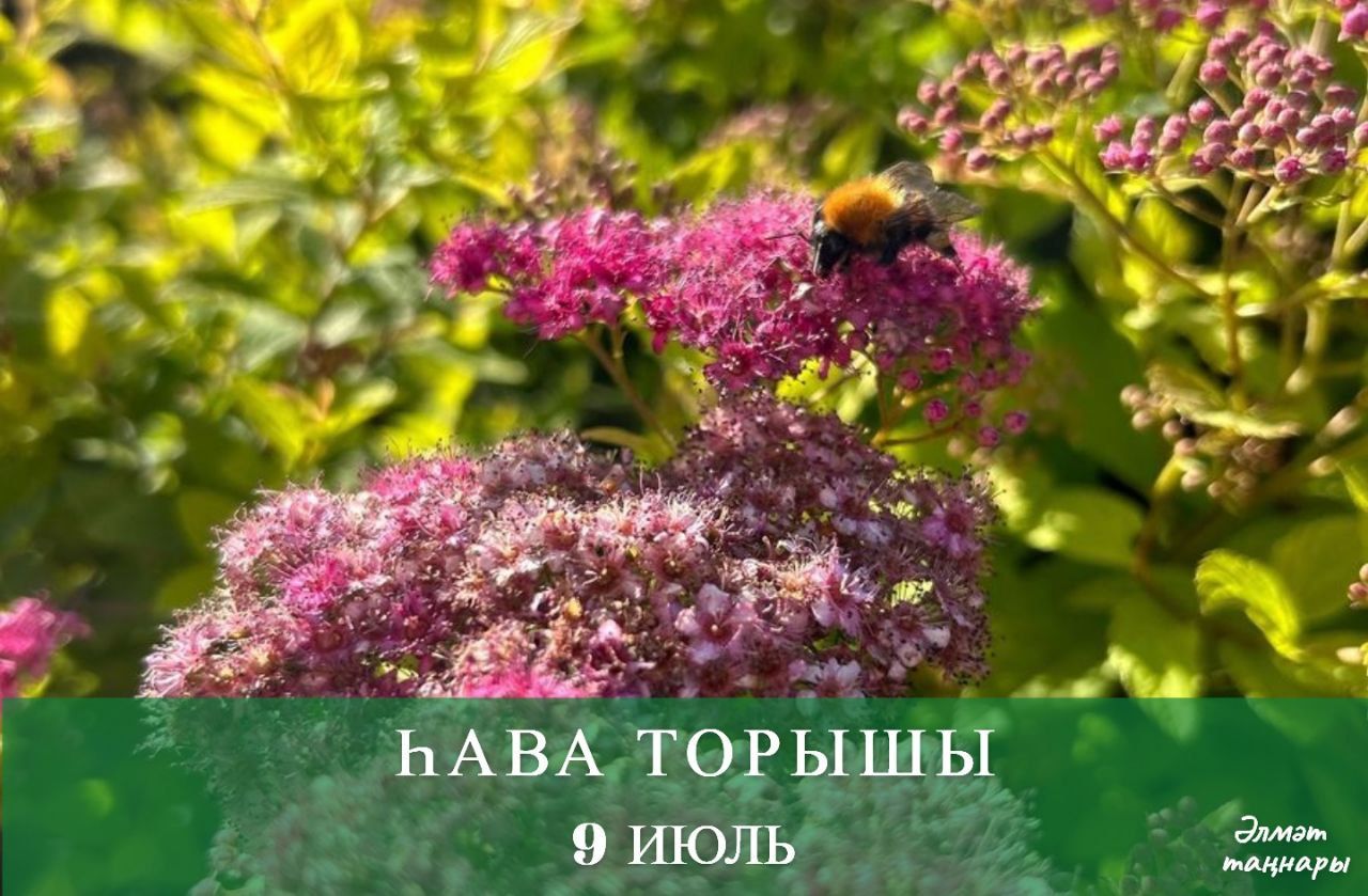 9 июльгә һава торышы