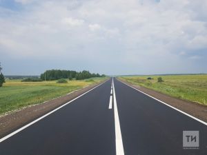 Әлмәт районы юлларында 10 урынга юл камералары кирәк