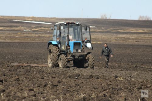 Әлмәт районы башлыгы Тимур Нагуманов язгы кыр эшләренең барышын бәяләде