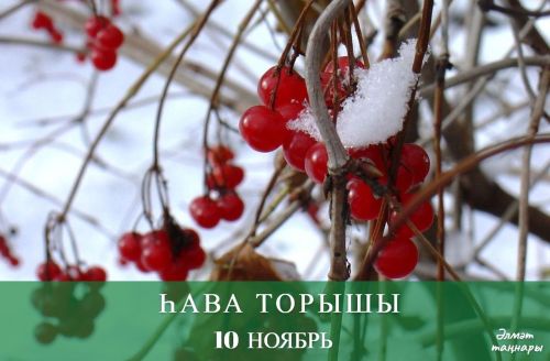 10 ноябрьдә һава торышы