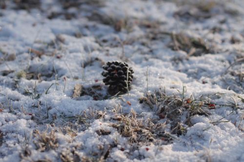 25 февральгә һава торышы