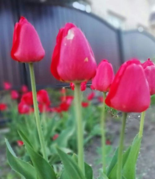 28 апрельгә һава торышы