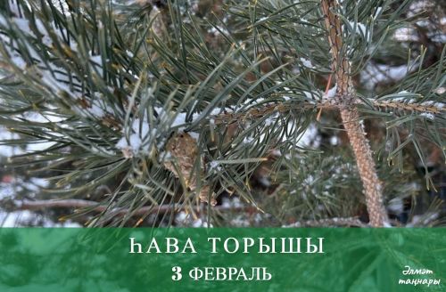 3 февральгә һава торышы