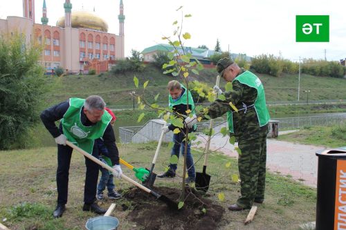 «Хәтер бакчасы» акциясе кысаларында Әлмәт янында 8,8 мең үсенте утырттылар