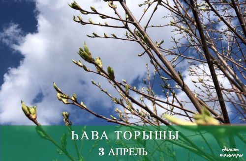 3 апрельгә һава торышы