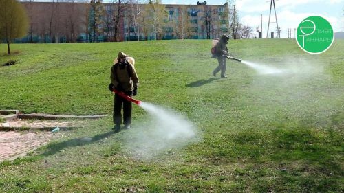 Әлмәт паркларын талпаннардан эшкәртәчәкләр