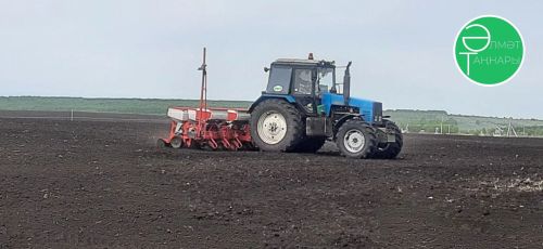 Әлмәт районында авыл хезмәтчәннәре чәчүне тулы куәткә алып баруларын дәвам итәләр