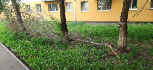 Редакциягә һәм Халык контроленә әлмәтлеләр торак-коммуналь хуҗалык, юллар, экология өлкәләреннән булган проблемаларга зарлана