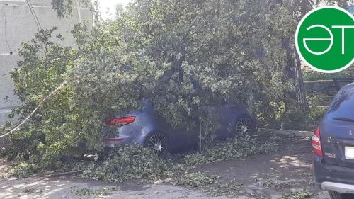 Быел Әлмәттә 43 торак йорт төзекләндерелә