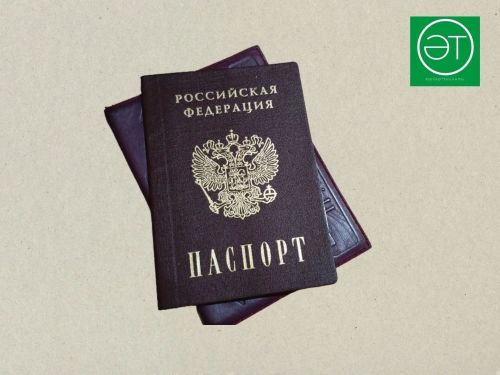 Тугыз әлмәтле беренче паспортларын алды
