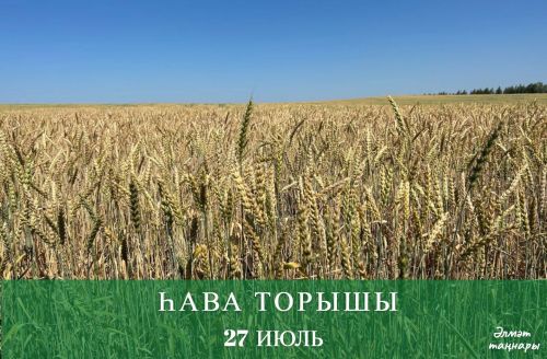 27 июльгә һава торышы
