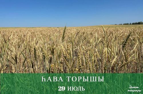 29 июльгә һава торышы