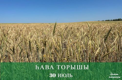 30 июльгә һава торышы