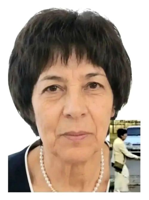 Югалган әлмәтлене эзлиләр