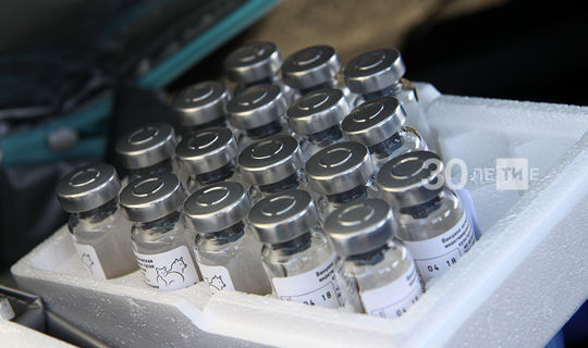 Вирусолог: Covid-19 мең тапкыр вакцинадан&nbsp;куркынычрак