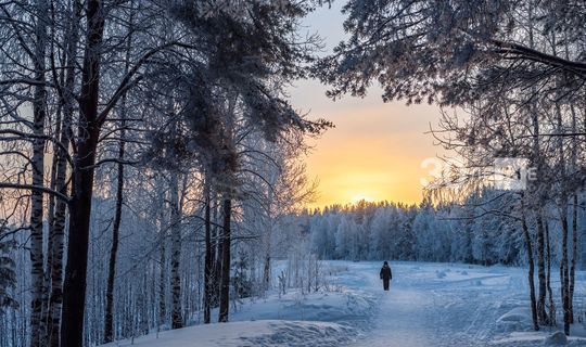 Синоптик рассказал, какой будет зима в России