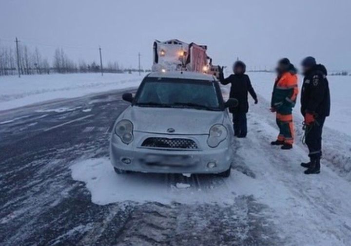 В Альметьевском районе спасли двух женщин с собаками, вылетевших в кювет