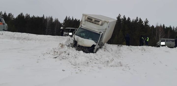 В Альметьевском районе грузовой фургон вылетел в кювет