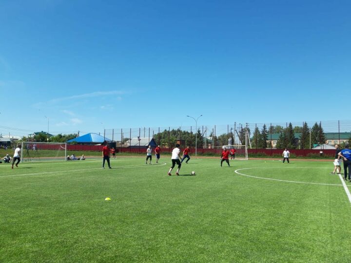 Әлмәт районы мөхтәсибәте кубогына мини-футбол буенча күчмә турнир узды