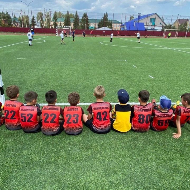 Әлмәт районында мини футбол буенча бөтенроссия турниры узды