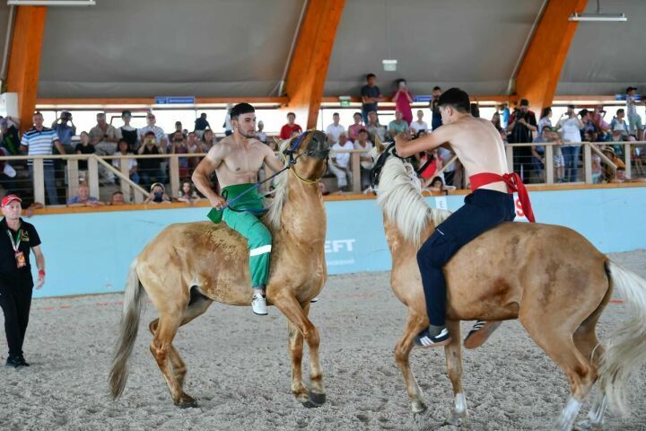 Әлмәтлеләр атларда көрәш буенча Татарстан чемпионатында уңышлы чыгыш ясады