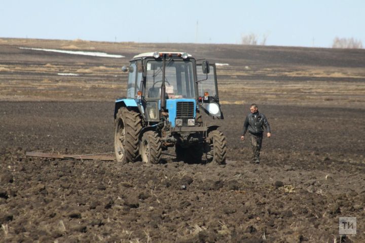 Әлмәт районы башлыгы Тимур Нагуманов язгы кыр эшләренең барышын бәяләде