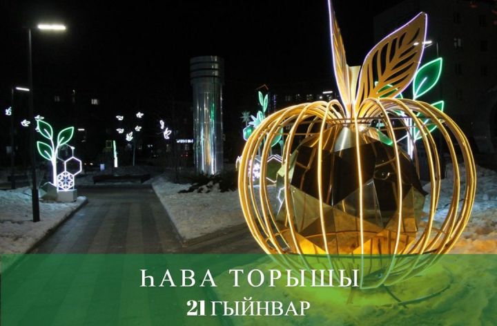 20 гыйнварга һава торышы