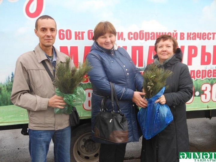 Әлмәтлеләр икенчел чималны үсентеләргә алыштыра алачак
