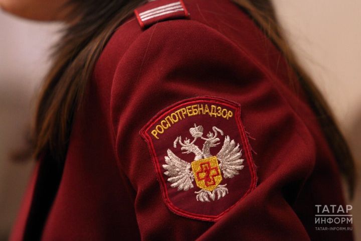 Әлмәттә эшмәкәрләр өчен «Бердәм ачык ишекләр көне» узачак