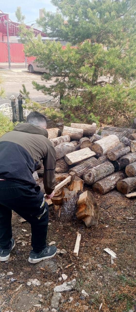 Әлмәттә волонтерлар хәрби хезмәткәрнең гаиләсенә утын кисәргә булышты