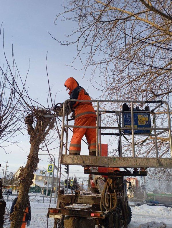 Әлмәттә агачларны кисү сезоны башланды
