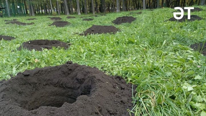 Әлмәт халкы «Урманны саклыйк» акциясе кысаларында 10 мең агач утыртты