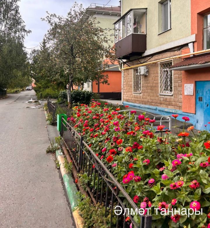 Әлмәттә «Безнең ишегалды» программасы буенча эшләр дәвам итә