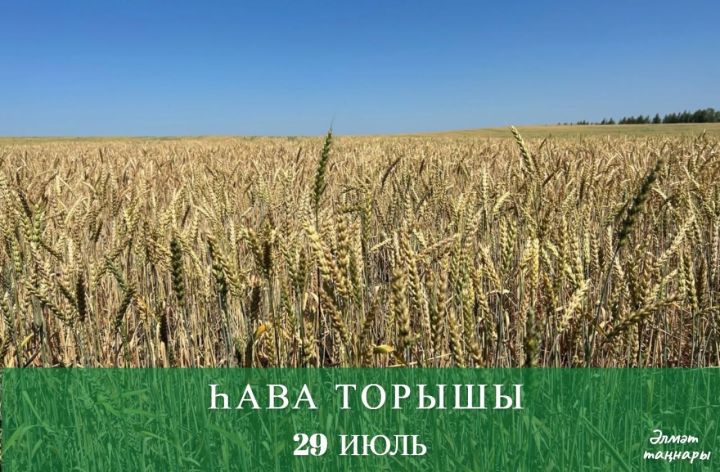 29 июльгә һава торышы