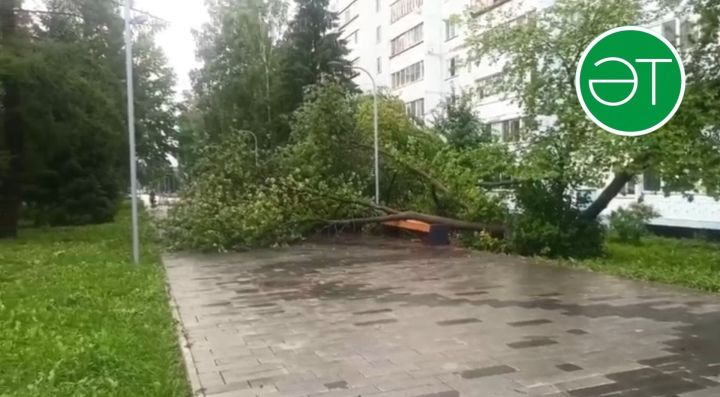 Әлмәттә давылның нәтиҗәләрен бетерәләр