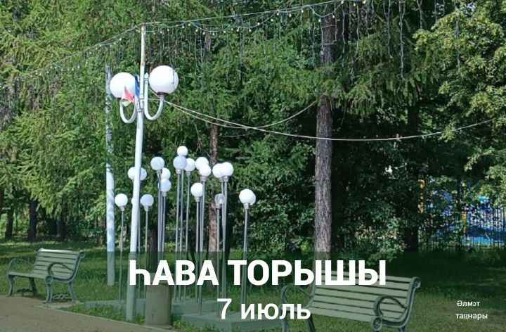 7 августка һава торышы