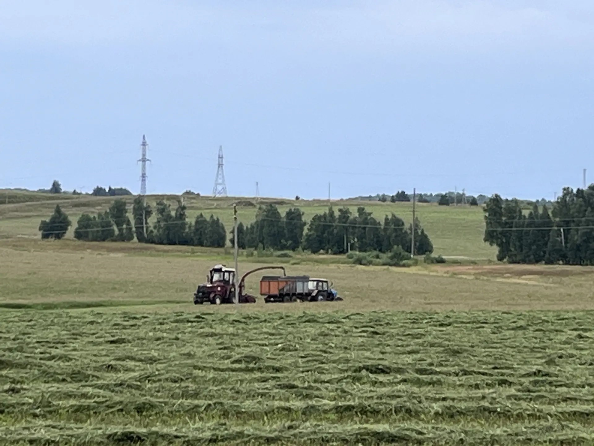 Әлмәттә басуда урып-җыю эше бара