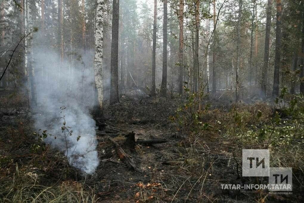 Урманнарда янгын куркынычы югары булу сәбәпле, Татарстанда шторм кисәтүе игълан ителде