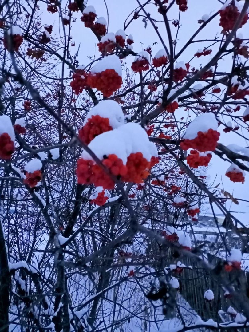 15 гыйнварга һава торышы