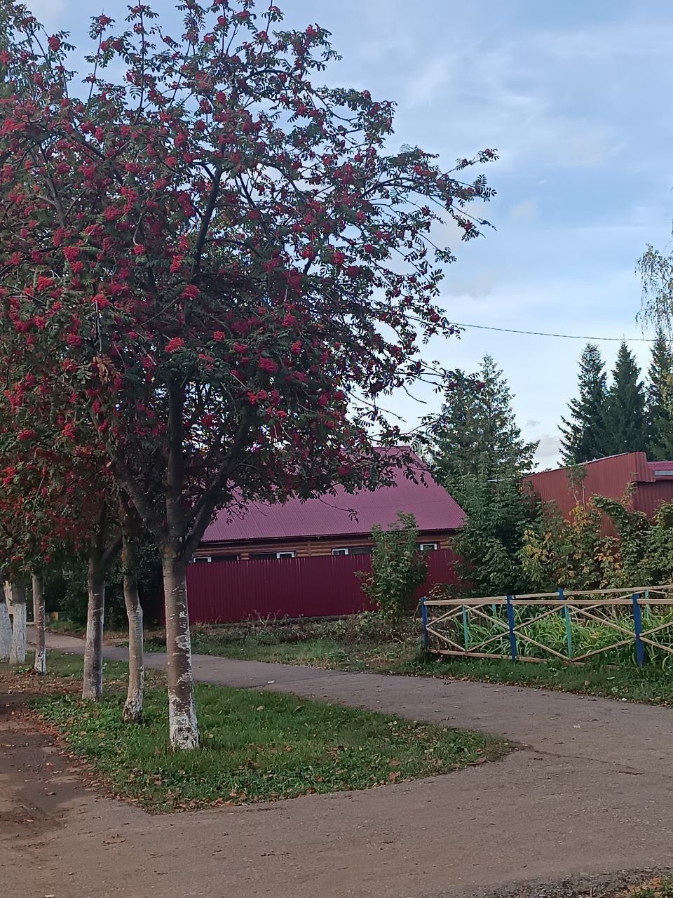 Ноябрьдә татарстанлылар ничек ял итәчәк