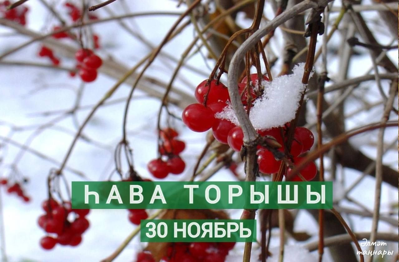 30 ноябрьгә һава торышы