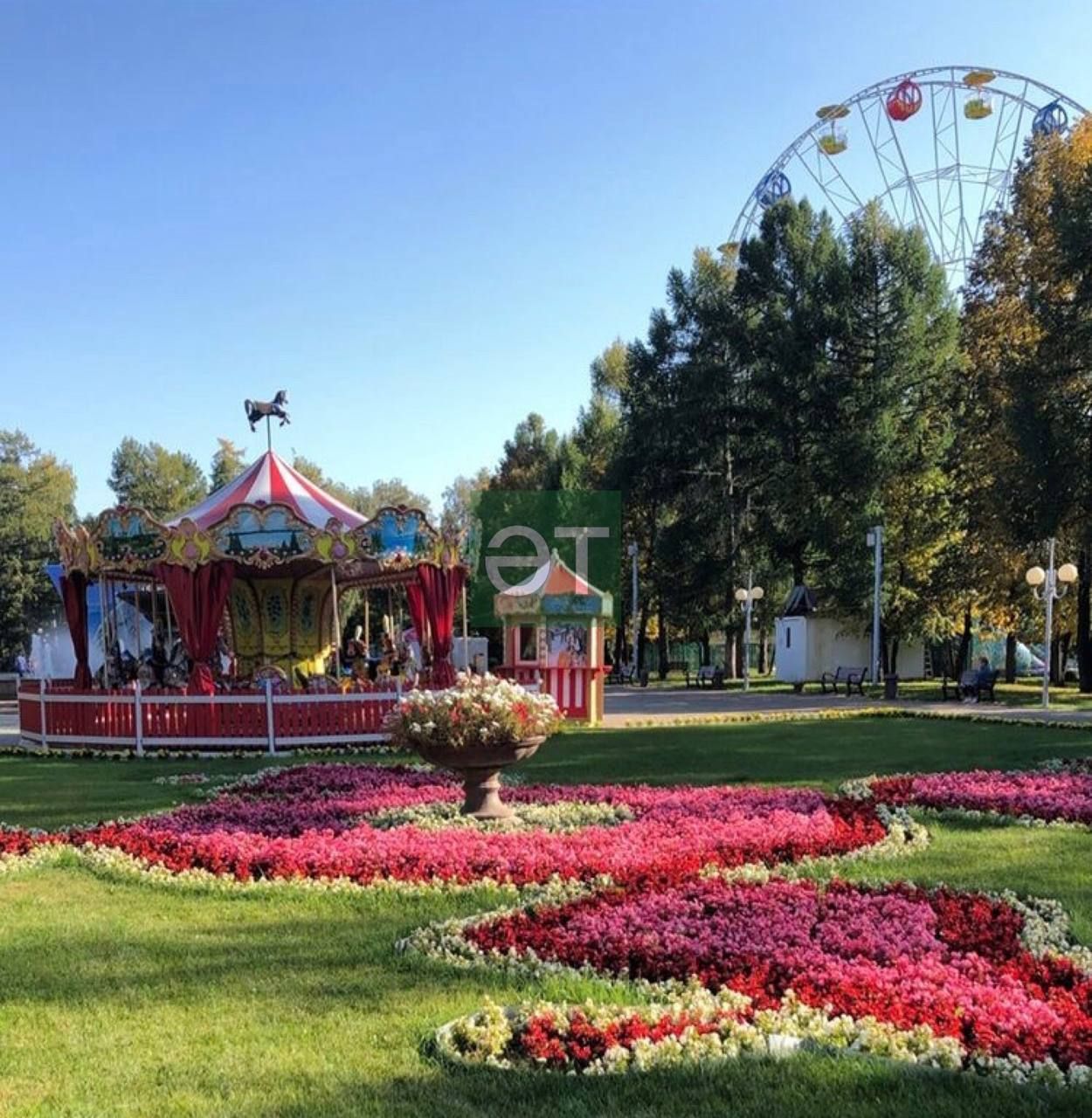 Әлмәттә беренче Майны бәйрәм итү программасы билгеле булды