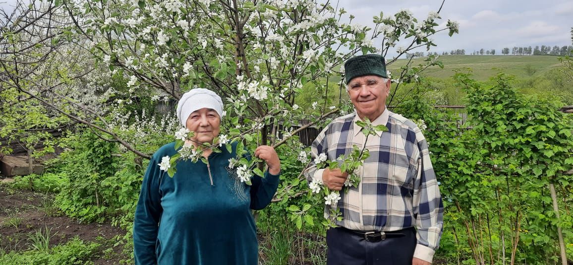 Бергә гомергә