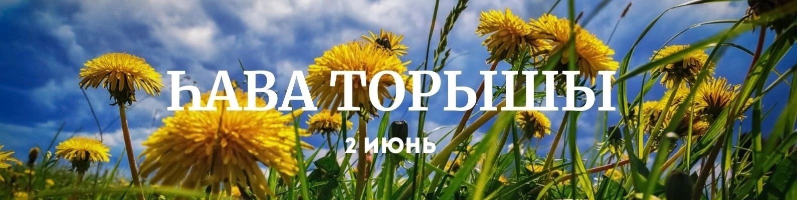 2 июньгә һава торышы