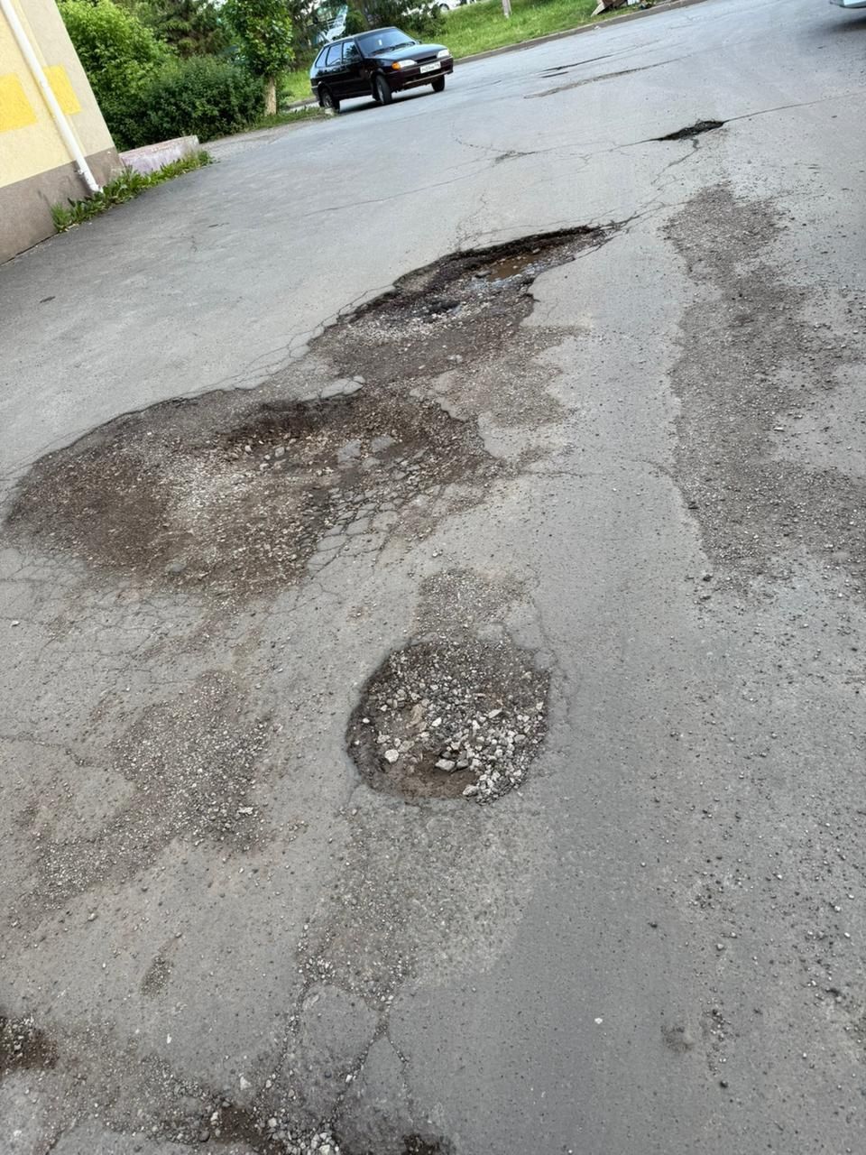 Әлмәтлеләр ишегалларында үскән үләннән зарлана